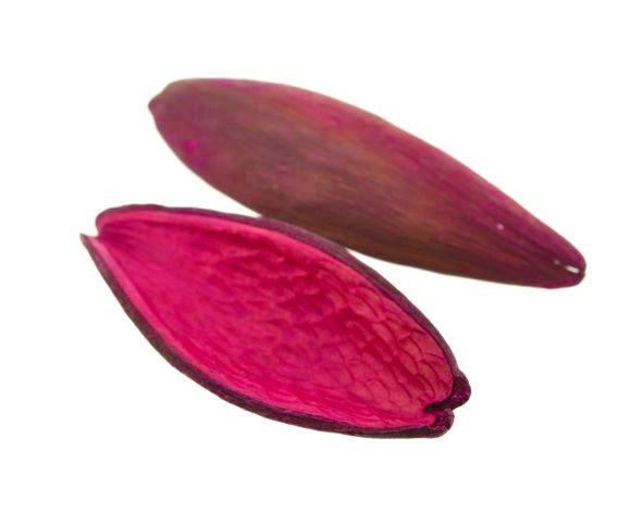 Casca canoinha - Rosa - Tamanhos variados (5 peças)